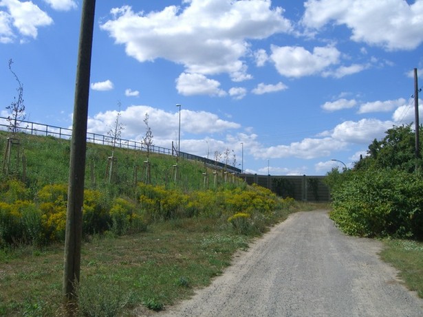 Kienitzer Straßenbrücke / Bundesstraße 96