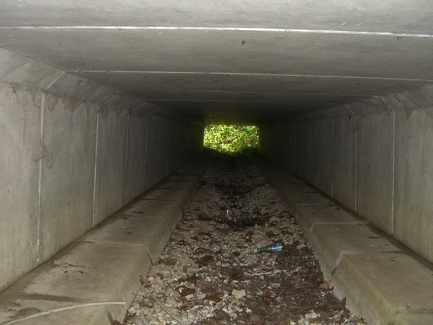 Neu Zittauer Straßenbrücke / Spreewiesenentwässerungsgraben