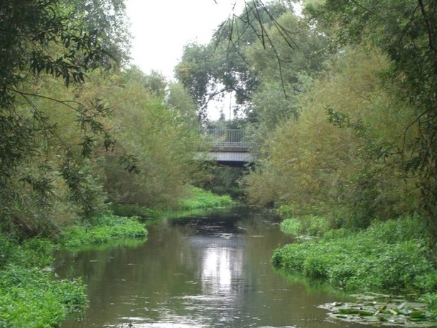 Straßenbrücke Am Hauptbahnhof / Jacobsgraben