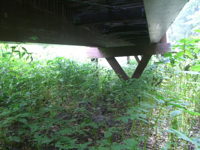 Rad- und Fußwegbrücke am Rand der L74 / Dahme
