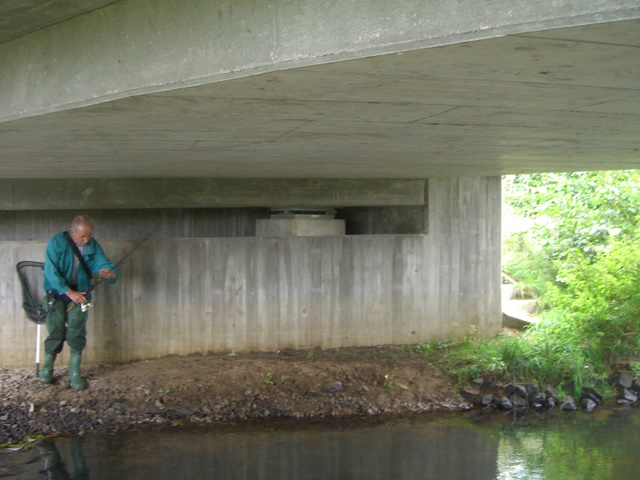 Oderiner Straßenbrücke / Dahme