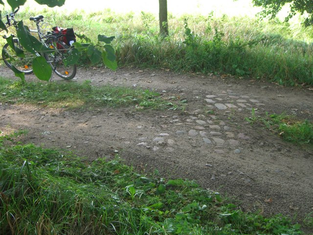 Grabenbrücke nordnordwestlich Prierow