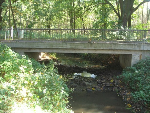 Straßenbrücke Alter Kuschkower Weg- Plattkower Ausbau / Landgraben