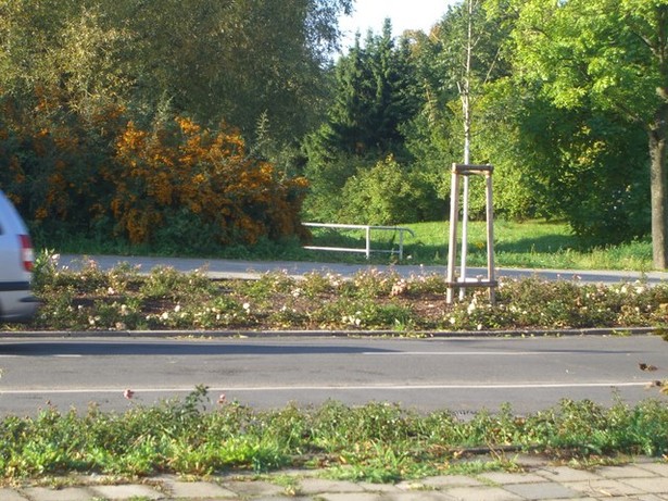 L 34 Müncheberger Straßenbrücke / Annafließ