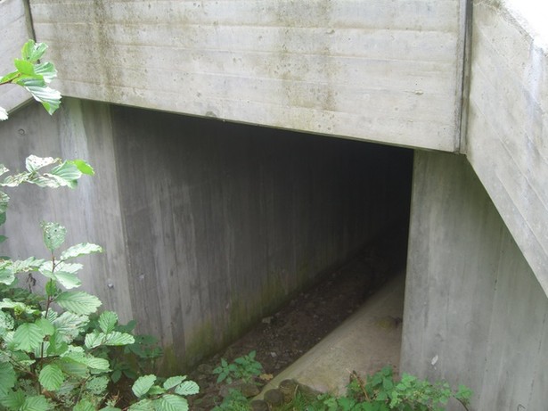 B246 Hauptstraßenbrücke / Grabengerinne südlich Herzberger See