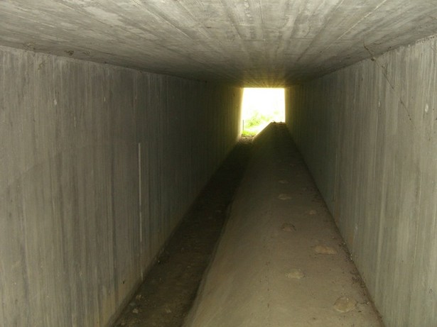 B246 Hauptstraßenbrücke / Grabengerinne südlich Herzberger See