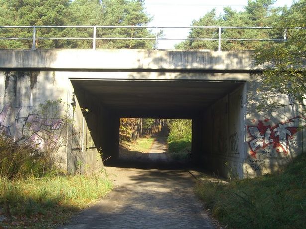  EÜ Strecke Potsdam - Schönefeld / Waldweg südwestl. Neuseddin 