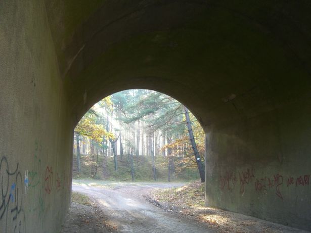 EÜ Strecke Potsdam - Schönefeld / Waldweg südwestlich Neuseddin