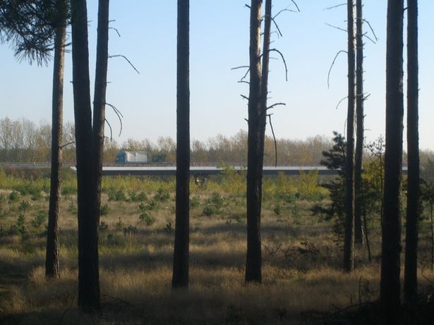 Südbrücke am AD A9 / A10
