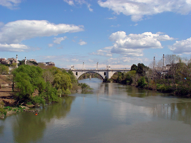 Ponte Flaminio
