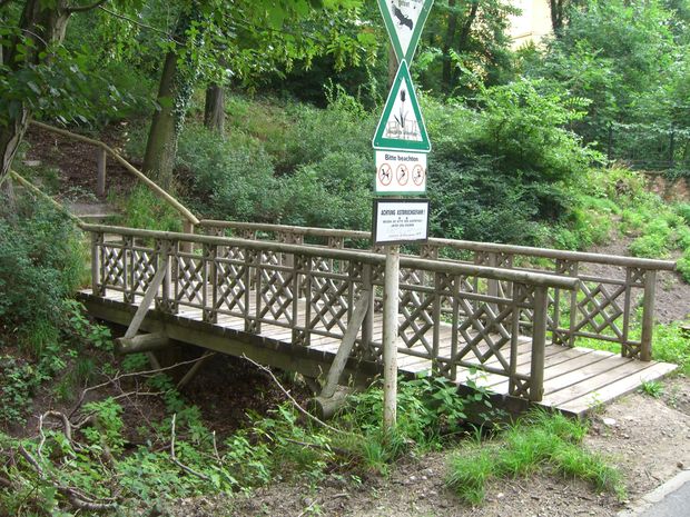 Fußwegbrücke nordwestlich Schloß Glienicke