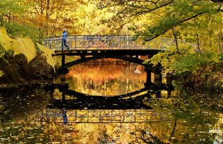  ZPKiO Brücke ( ЦПКйО МОСТ )