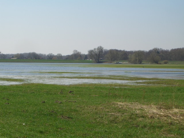 Fährzufahrtstraßenbrücke / Deichvorland der Oder