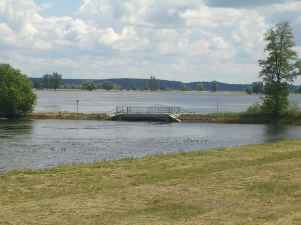 Fährzufahrtstraßenbrücke / Deichvorland der Oder , Wasserstandshöhe nach abfallendem Hochwasser