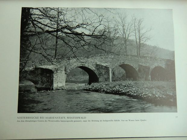 Prof. Dr. Leo Bruhns, Rom