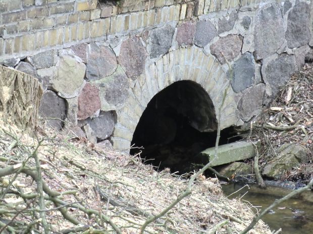 Kastanienalleebrücke / Fließ vom Lettinsee zum Klostersee