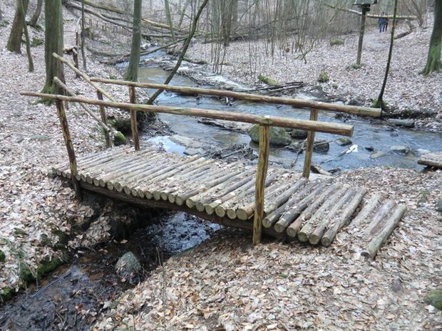  Wanderwegbrücke / Zufluß vom Krugberg zum Sophienfließ