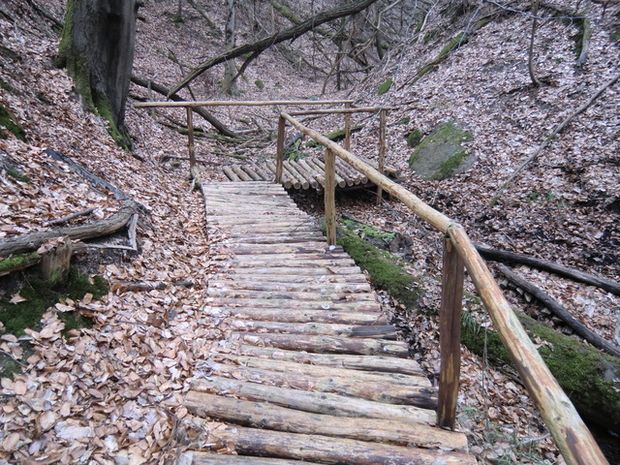  Wanderwegbrücke / Zufluß vom Krugberg zum Sophienfließ oberhalb der BAS 57445