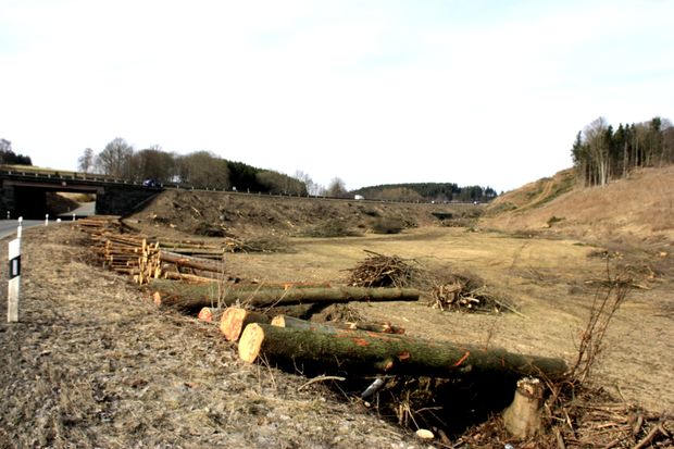 A 9 Autobahnbrücke / L 1103 Ortsstraße , neu vor der Verbreiterung auf 6 Spuren