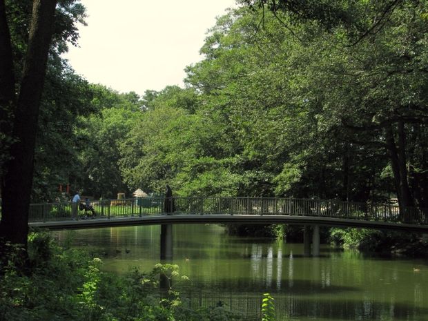 Inselbrücke Südkanal Jungfernheideteich