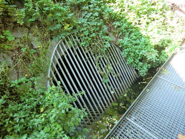 B 1 Straße Am Güterbahnhof Brücke u. EÜ / Jacobsgraben