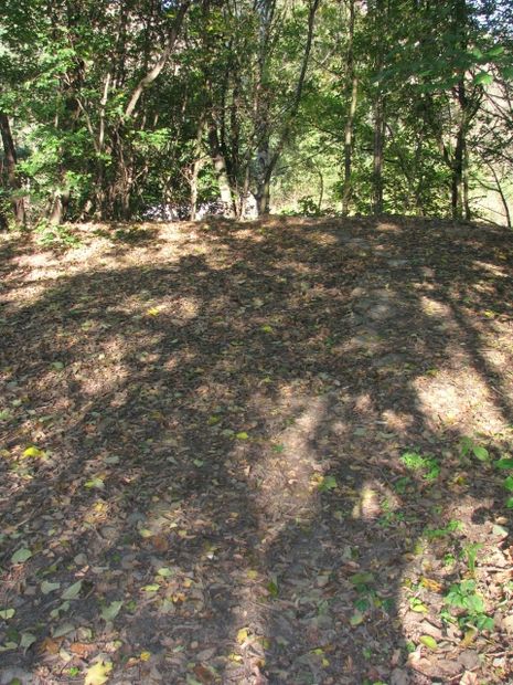 Fritz-Schweitzer-Brücke