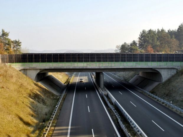 Wildbrücke Börnecke - Westerhausen / B 6 neu