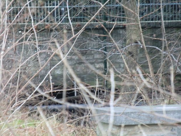 Goethestraßenbrücke / Jägergraben