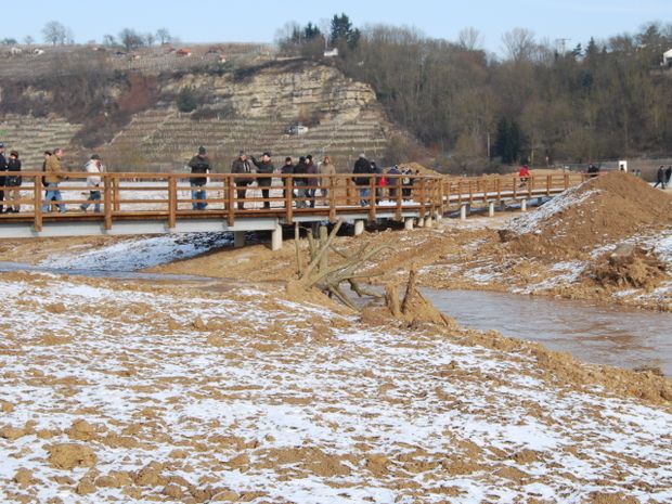 Naturpfadsteg am Tripod / Meliorationsgraben