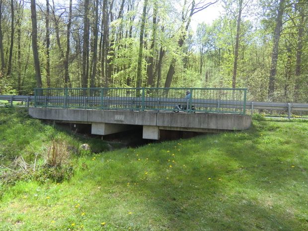 B 167 Freienwalder Straßenbrücke / Graben zur Alten Oder