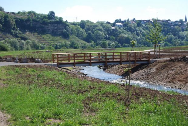 Fußwegwegbrücke Renaturierungsgebiet Hohenbeck