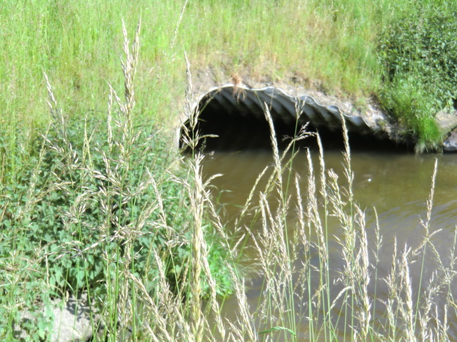 Wartungs- und Radwegbrücke / Fleth ostseitig