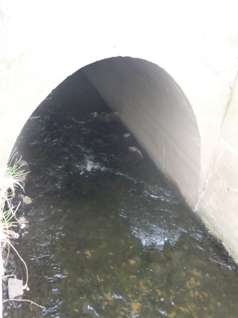 EÜ Betriebsgleis u. Straßenbrücke Kleiner Steinklump / Stremsgraben