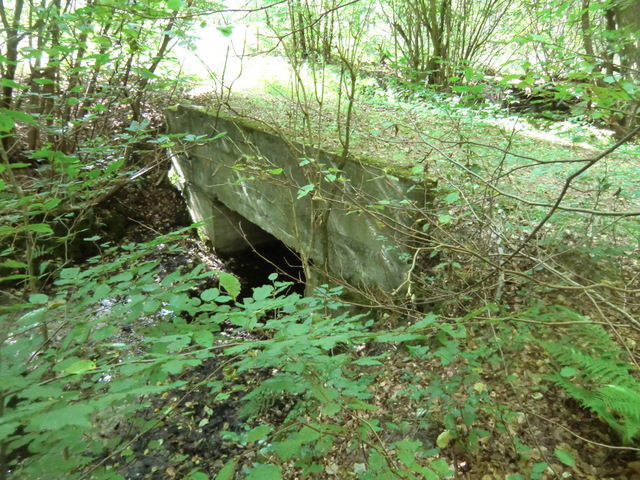 Waldwegbrücke / Alter Trampegraben