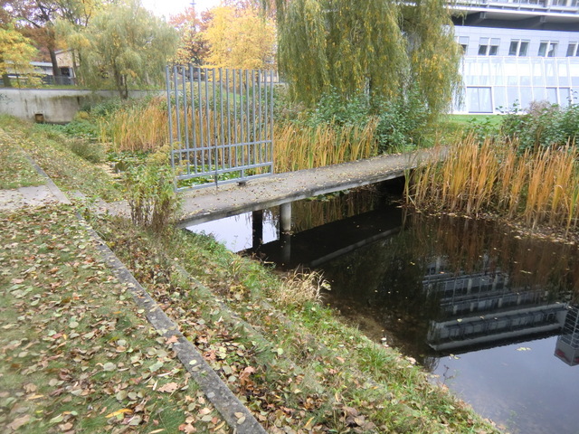 Fußwegbrücke / Teich am Kongreßhotel