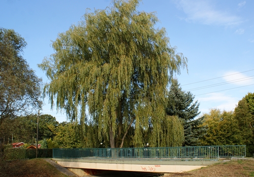 Erpebrücke Erpetal Mitte