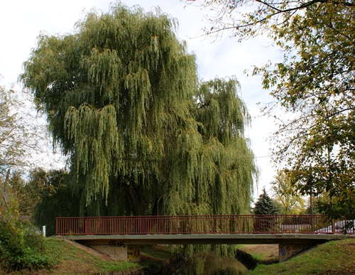 Erpebrücke südliches Siedlungsgebiet