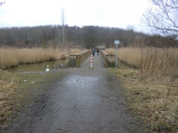 Fußgängerbrücke zum Kienberg / Rohrpfuhl