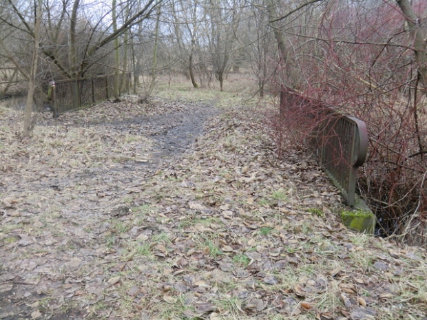 Alte Wegbrücke / Wuhle alter - natürlicher Verlauf