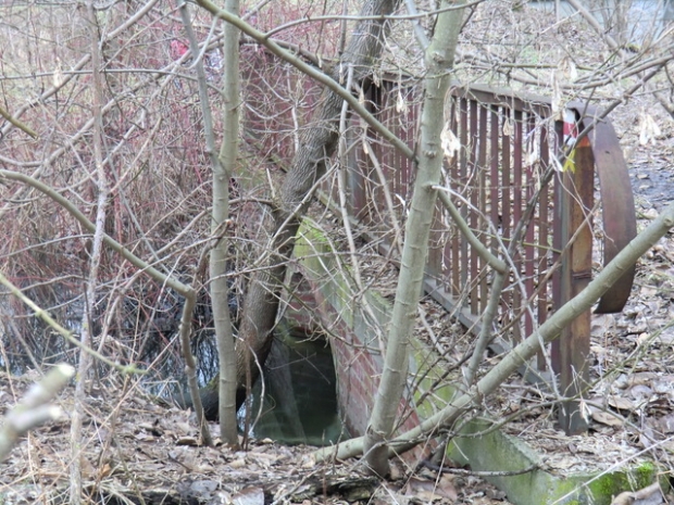 Alte Wegbrücke / Wuhle alter - natürlicher Verlauf