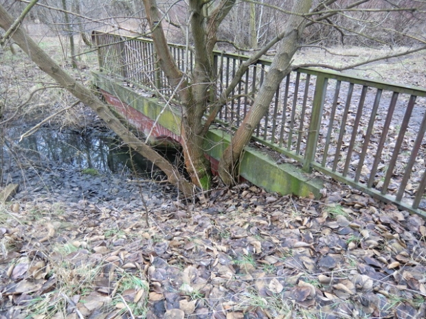 Alte Wegbrücke / Wuhle alter - natürlicher Verlauf