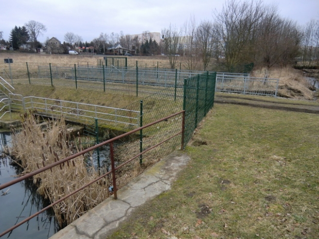 Alte Wuhlebrücke / Neue Wuhle ( renaturierter Klärwerksableiter)