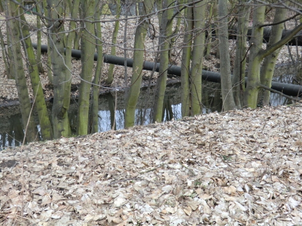 Rohrbrücke / Wuhle ( alter, natürlicher Verlauf)