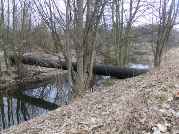 Rohrbrücke / Wuhle ( alter, natürlicher Verlauf)