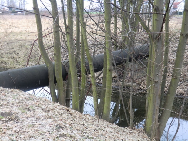 Rohrbrücke / Wuhle ( alter, natürlicher Verlauf)