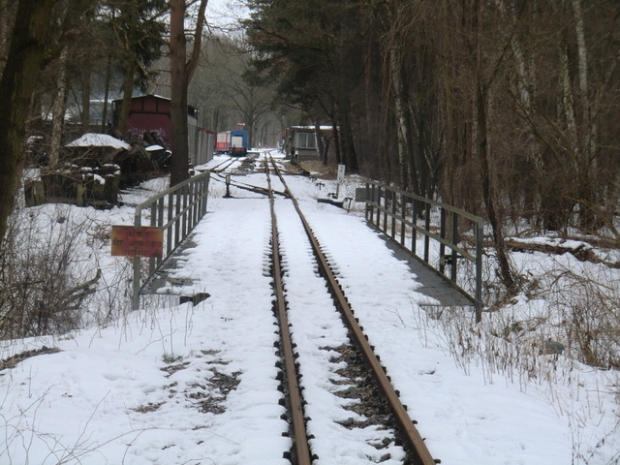 EÜ Parkeisenbahn Wuhlheide / Feuchtstelle im Wald