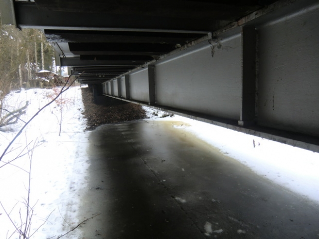 EÜ Parkeisenbahn Wuhlheide / Feuchtstelle im Wald