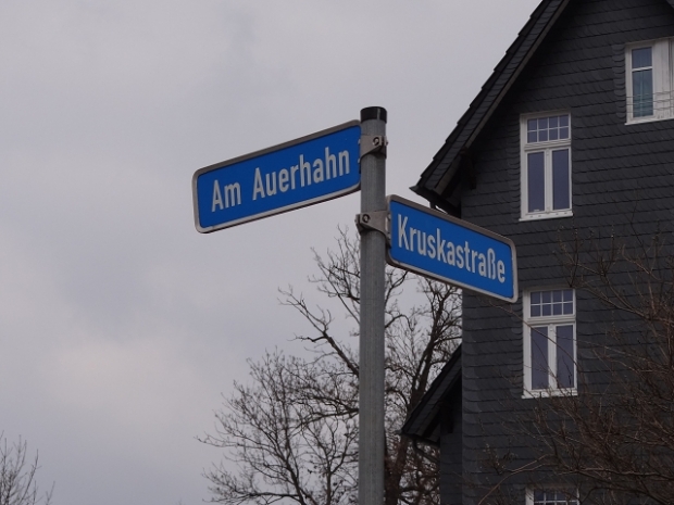 Kruskastraßenbrücke / Holtemme