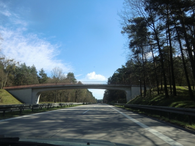 Waldwegbrücke / A 11 Autobahn Berlin - Stettin