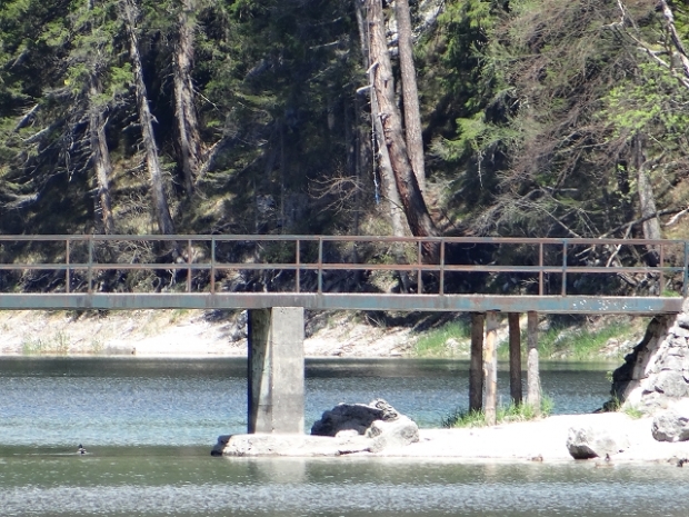 Fußwegbrücke / Eibsee - Untersee